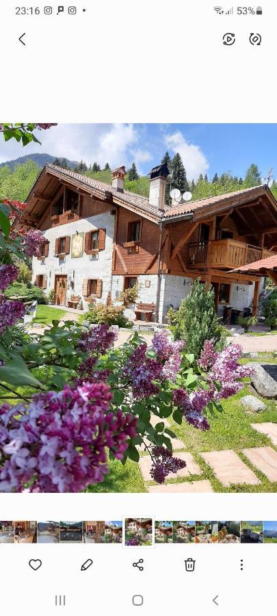 Maso Pin Bed & Breakfast มาดอนนาดีกัมปิโญ ภายนอก รูปภาพ